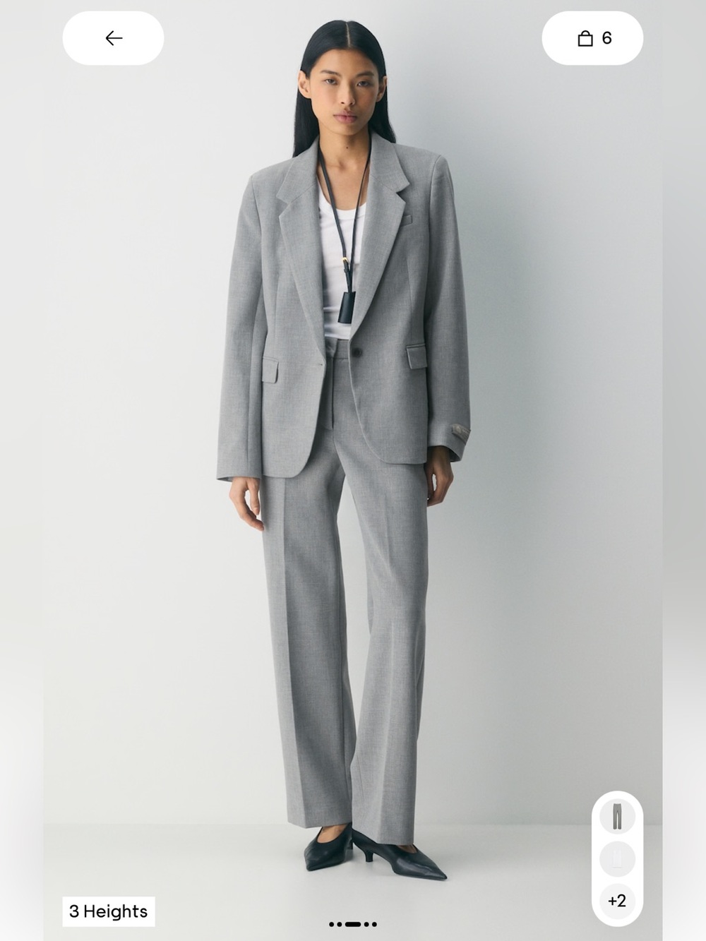 Aritzia Babaton Agency Pant — Eversential